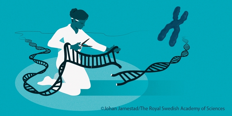 Ilustración Premio Nobel Química (Johan Jarnestad)